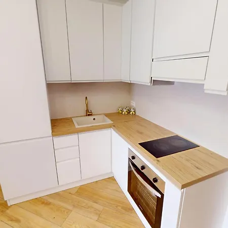 Lägenhet Agreable 2p Renove Au Centre Avec Terrasse - Fr-1-196-387 Menton